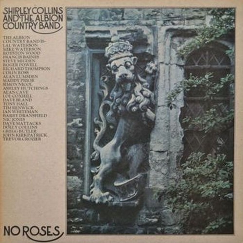 no roses