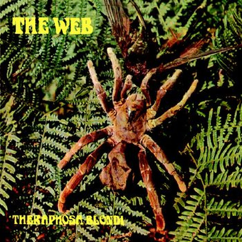 theraphosa blondi