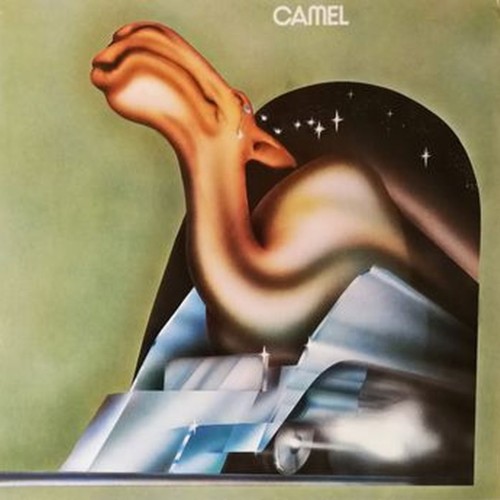 camel