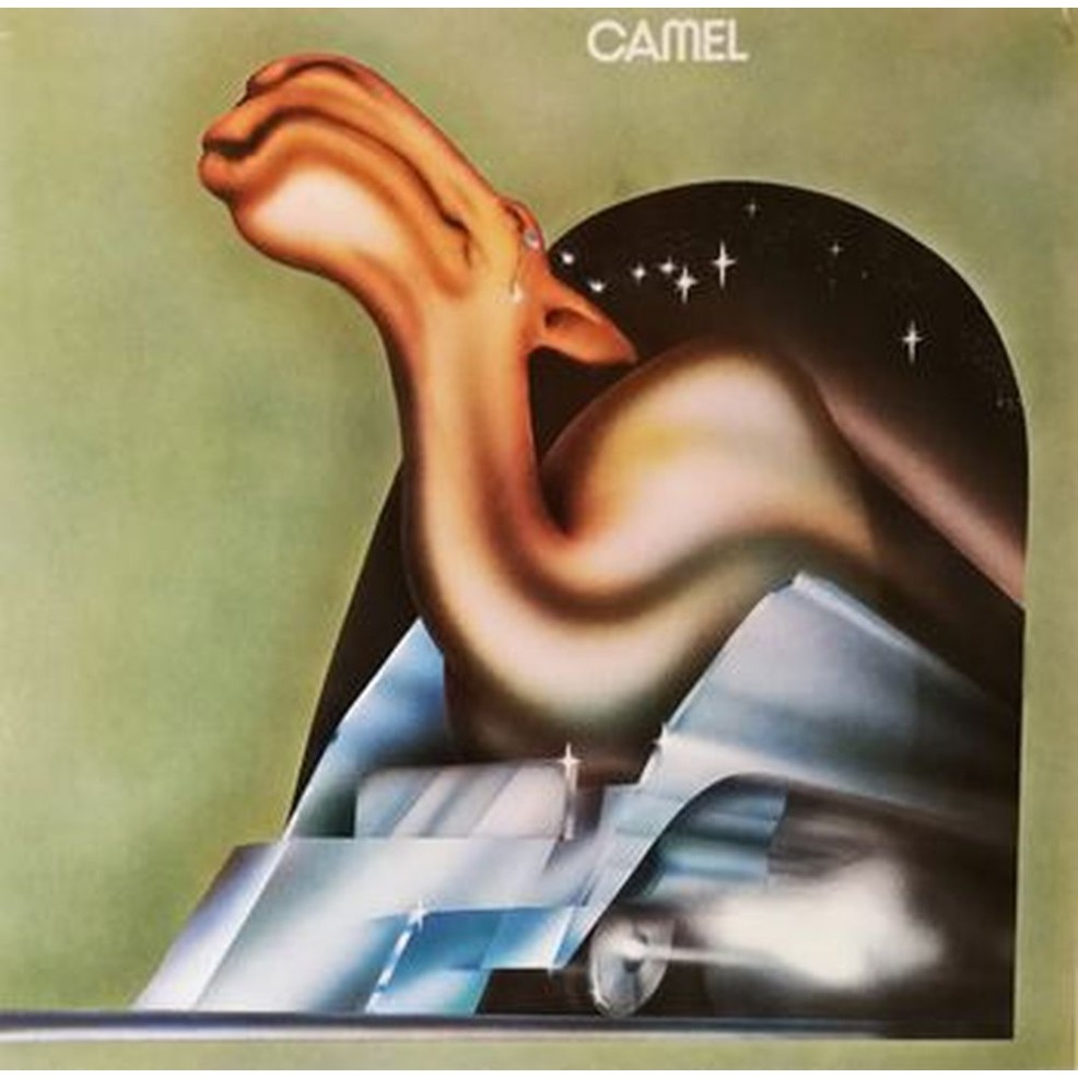 camel