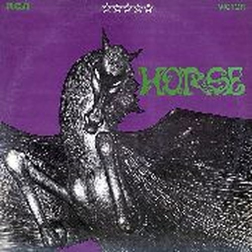 the horse