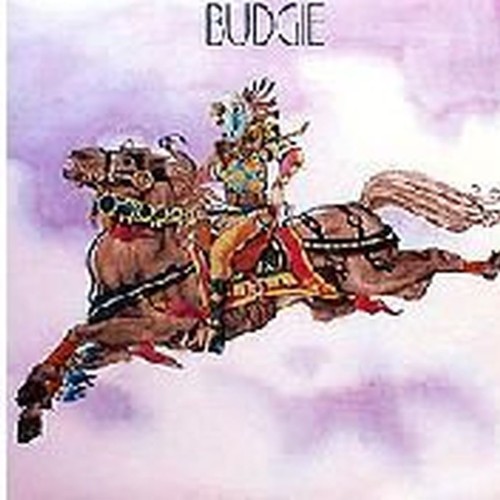 budgie