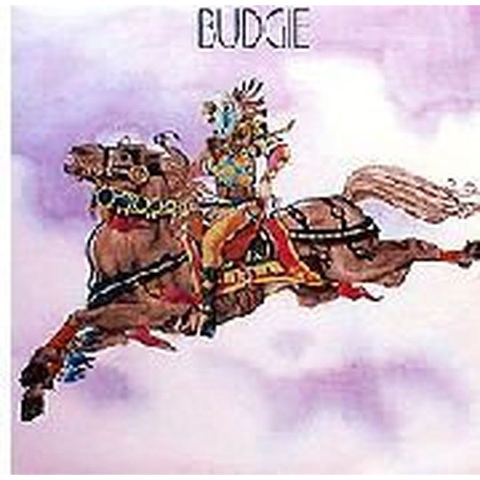 budgie