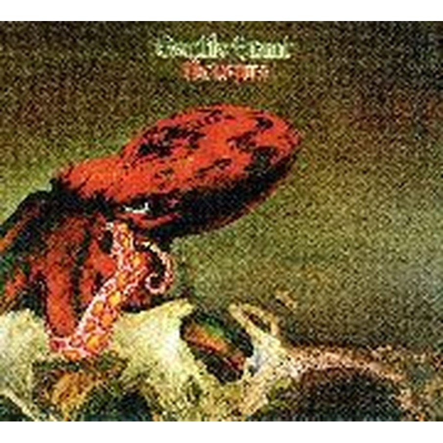 octopus