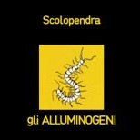 scolopendra