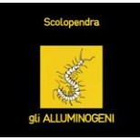 scolopendra