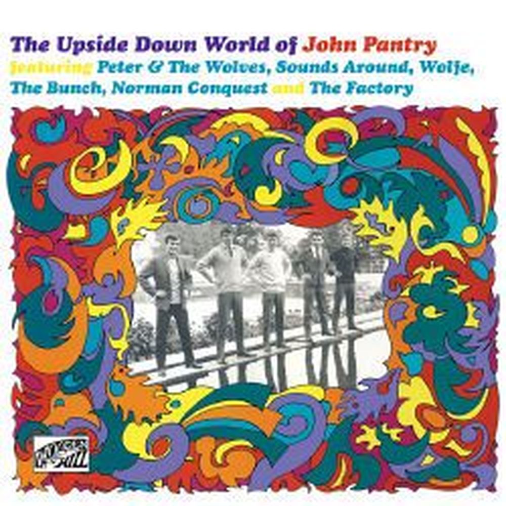 upside down world of john pantry
