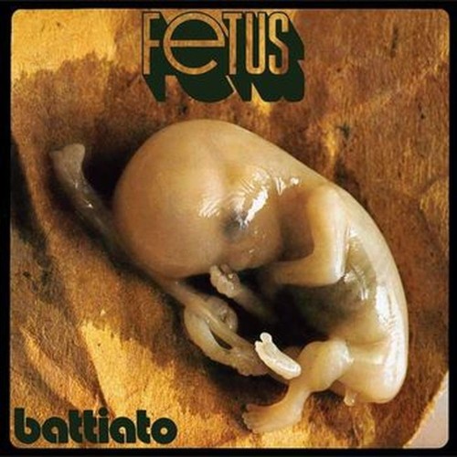 fetus