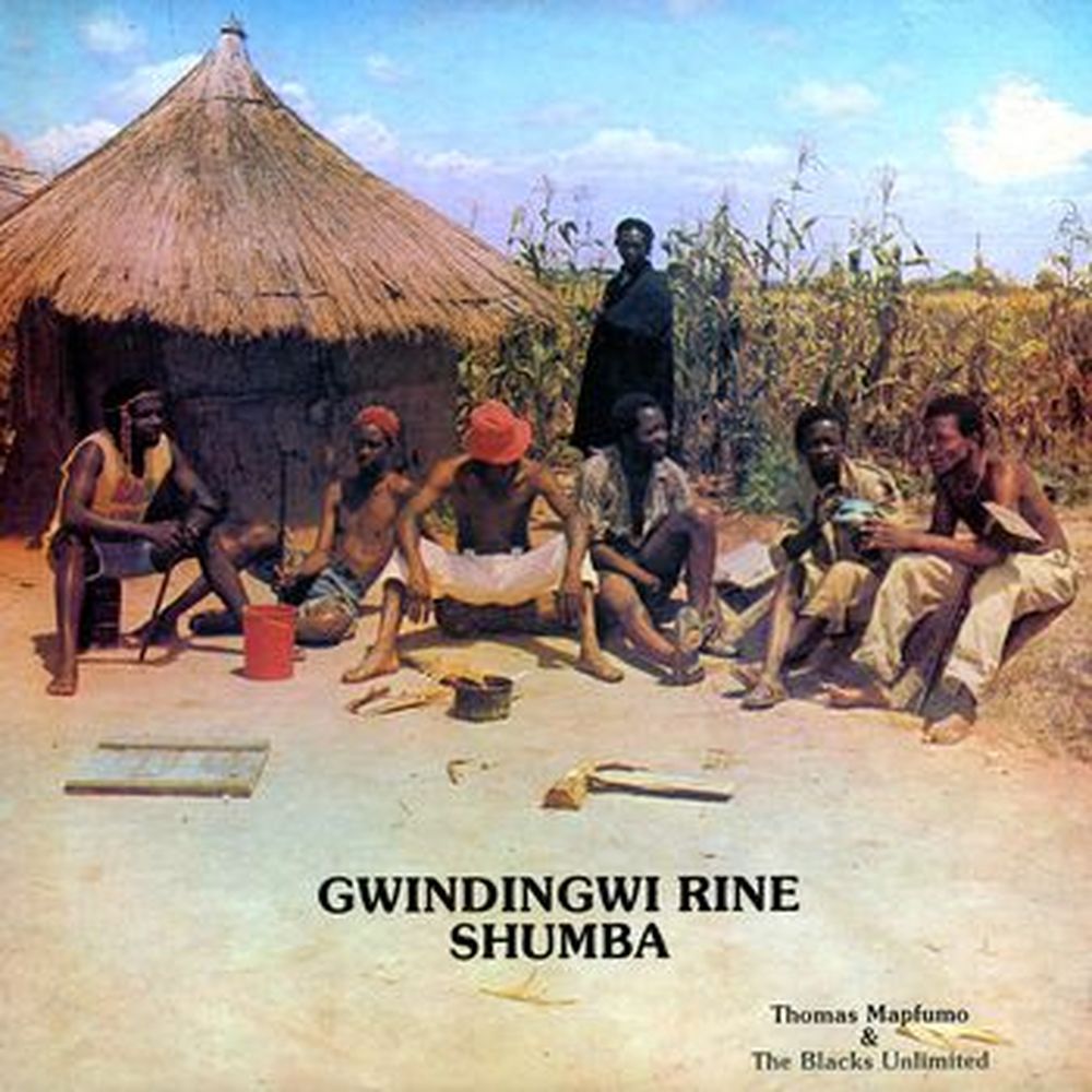 gwindingwi rine shumba