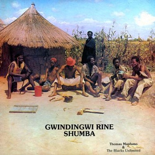 gwindingwi rine shumba